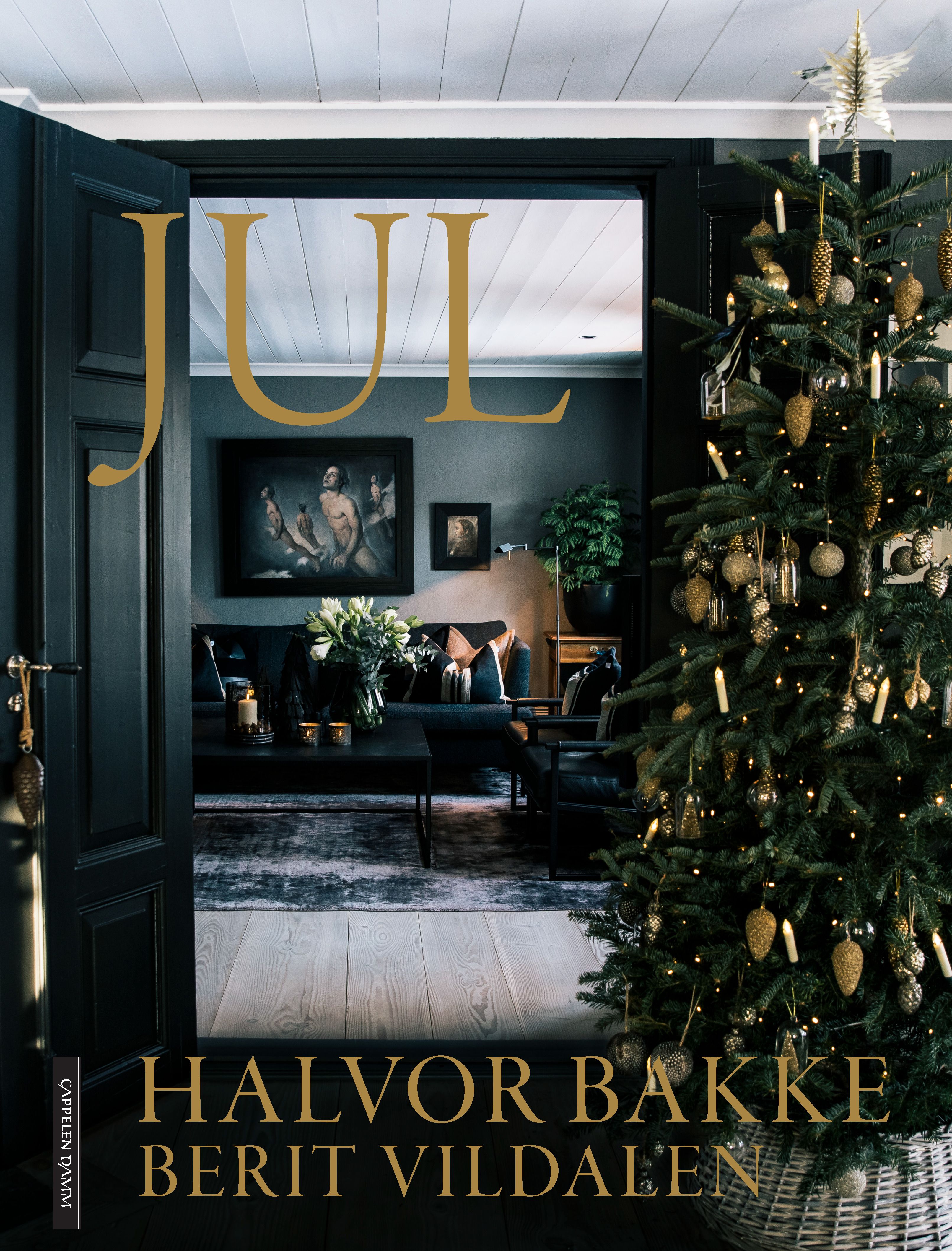Jul av Halvor Bakke, Berit Vildalen (Innbundet) - Norli Bokhandel